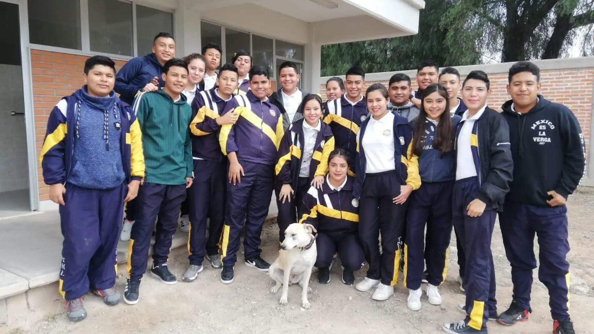 perrita rescatada por la preparatoria Tomás Miranda 1